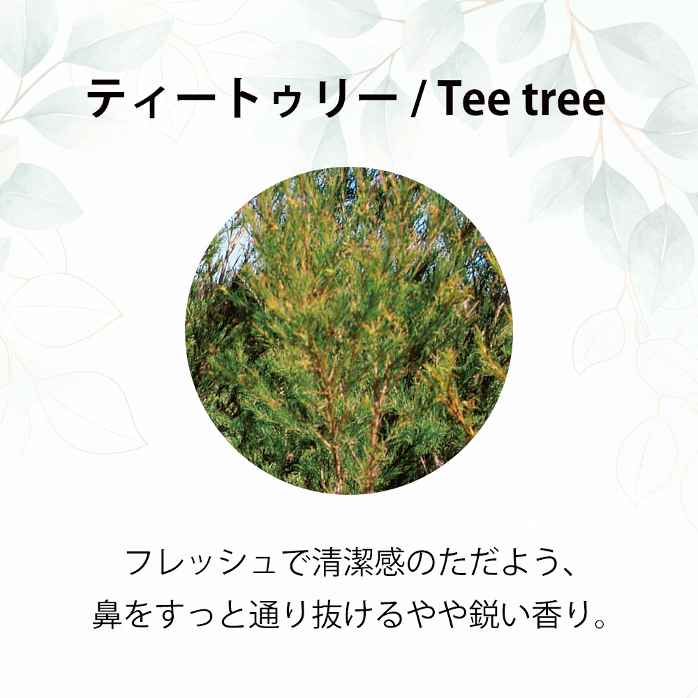 エッセンシャルオイル】ティートゥリー精油 / Tee tree 100ml ...